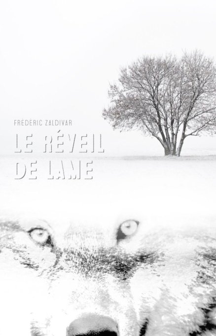 Tome 1 - Le Réveil de Lame - Ebook