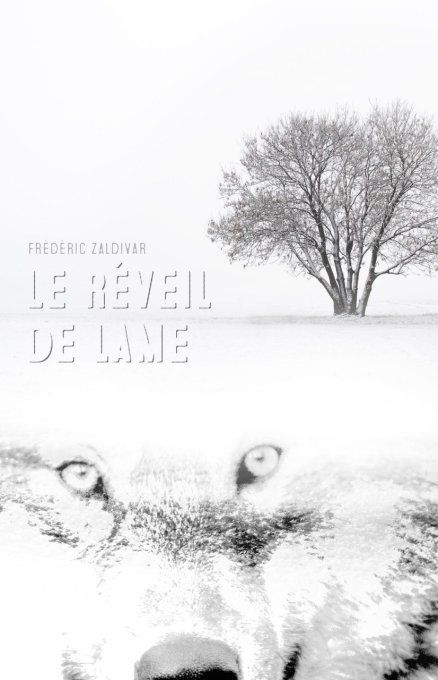 Tome 1 - Le Réveil de Lame